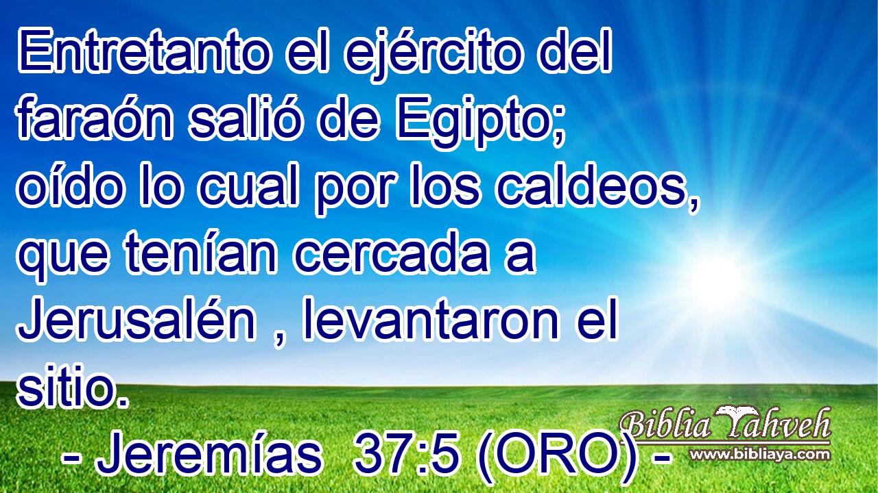  Entretanto el ejército del faraón salió de Egipto; oído lo cual por los caldeos, que tenían cercada a Jerusalén , levantaron el sitio. 