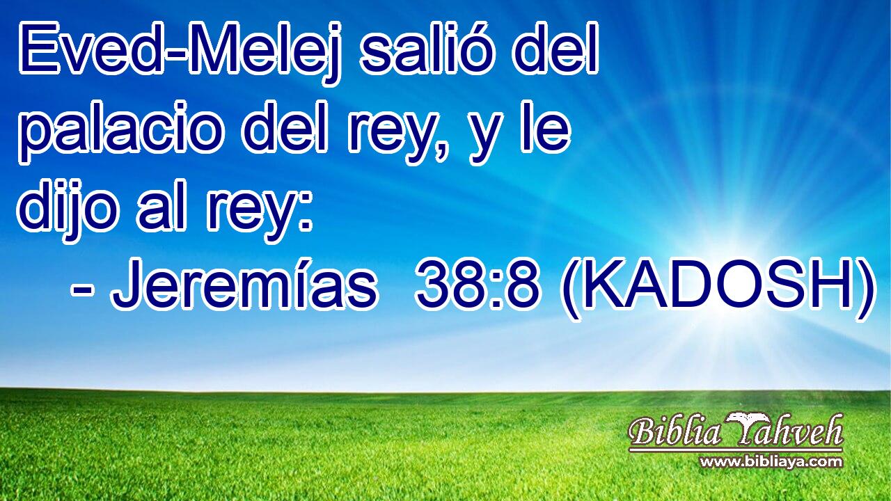  Eved-Melej salió del palacio del rey, y le dijo al rey: 