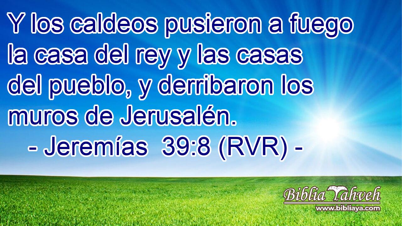 Y los caldeos pusieron a fuego la casa del rey y las casas del pueblo, y derribaron los muros de Jerusalén.