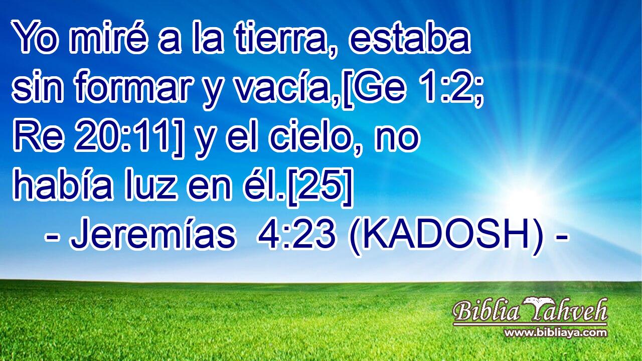  Yo miré a la tierra, estaba sin formar y vacía,[Ge 1:2; Re 20:11] y el cielo, no había luz en él.[25] 