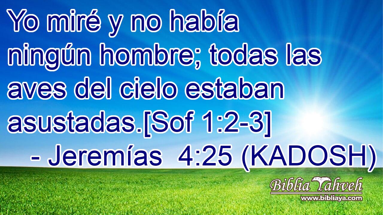  Yo miré y no había ningún hombre; todas las aves del cielo estaban asustadas.[Sof 1:2-3] 
