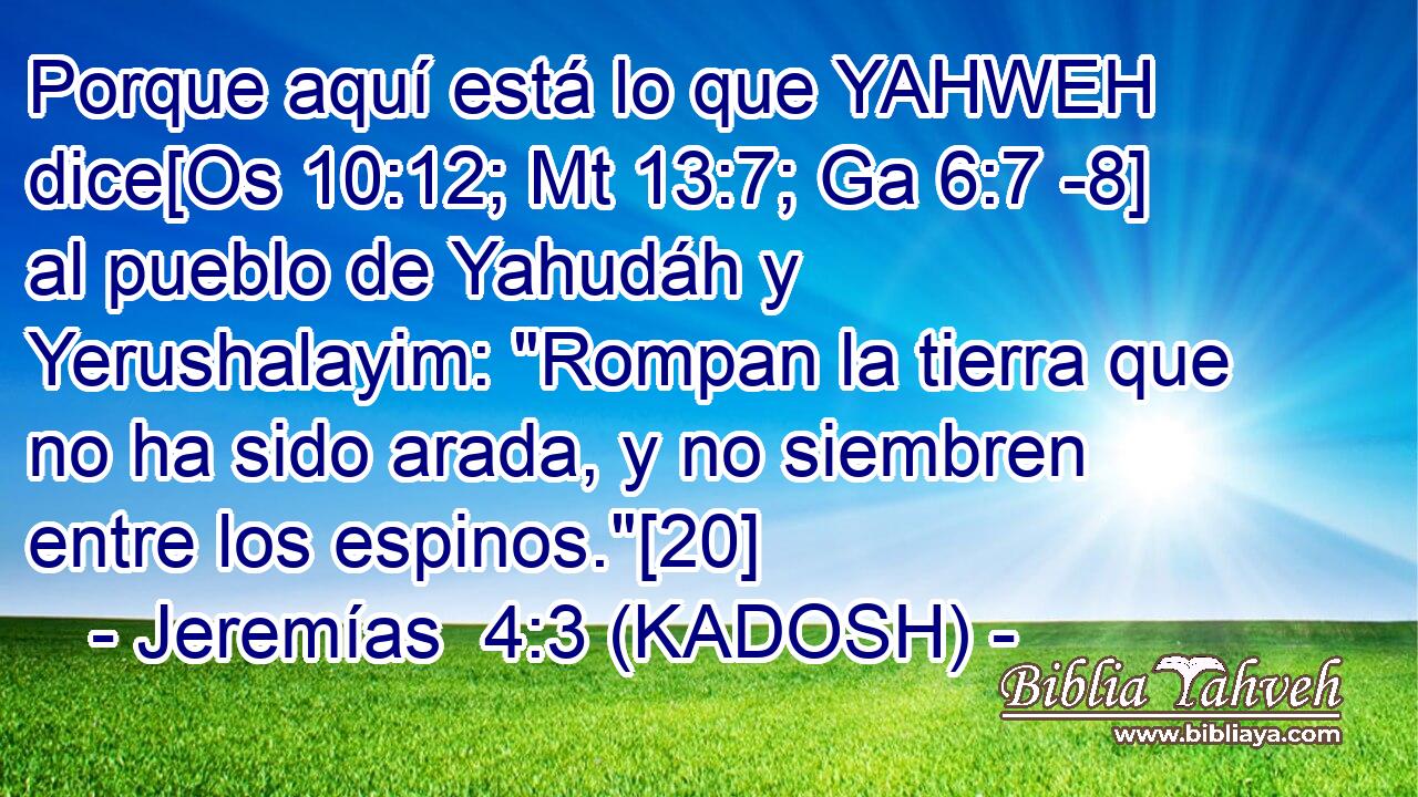  Porque aquí está lo que YAHWEH dice[Os 10:12; Mt 13:7; Ga 6:7 -8] al pueblo de Yahudáh y Yerushalayim: 