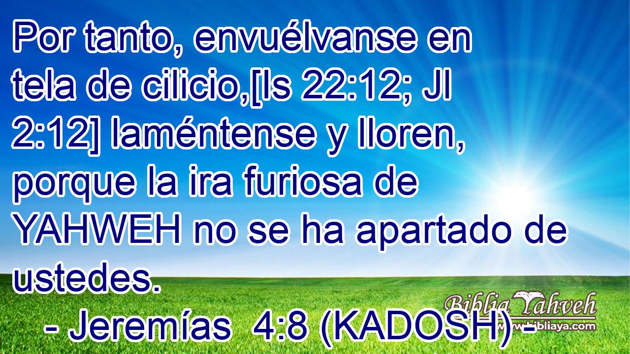  Por tanto, envuélvanse en tela de cilicio,[Is 22:12; Jl 2:12] laméntense y lloren, porque la ira furiosa de YAHWEH no se ha apartado de ustedes. 