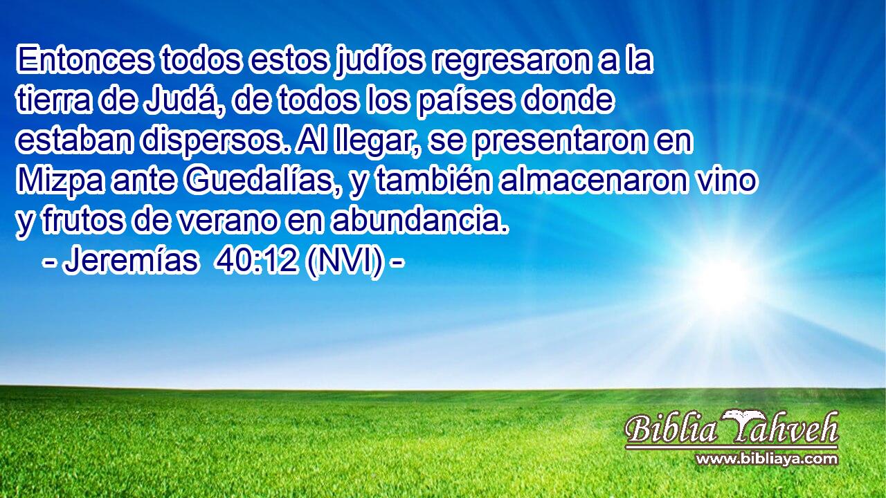  Entonces todos estos judíos regresaron a la tierra de Judá, de todos los países donde estaban dispersos. Al llegar, se presentaron en Mizpa ante Guedalías, y también almacenaron vino y frutos de verano en abundancia. 