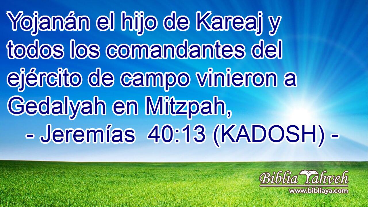  Yojanán el hijo de Kareaj y todos los comandantes del ejército de campo vinieron a Gedalyah en Mitzpah, 