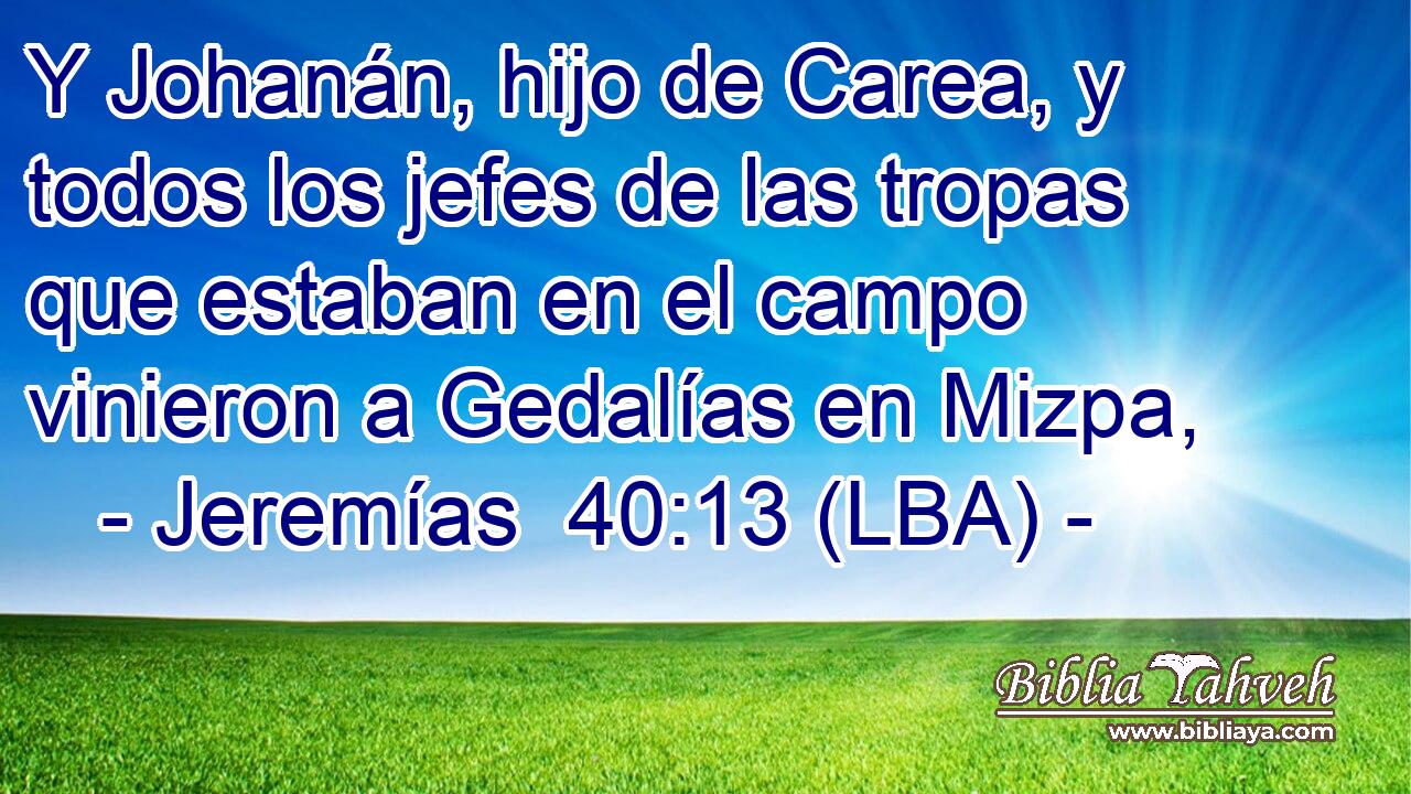 Y Johanán, hijo de Carea, y todos los jefes de las tropas que estaban en el campo vinieron a Gedalías en Mizpa,