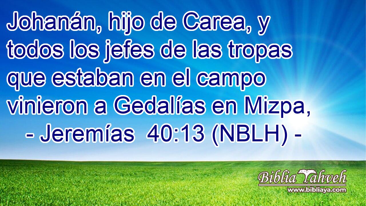  Johanán, hijo de Carea, y todos los jefes de las tropas que estaban en el campo vinieron a Gedalías en Mizpa, 