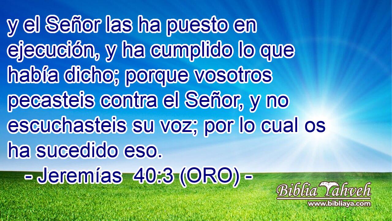  y el Señor las ha puesto en ejecución, y ha cumplido lo que había dicho; porque vosotros pecasteis contra el Señor, y no escuchasteis su voz; por lo cual os ha sucedido eso. 