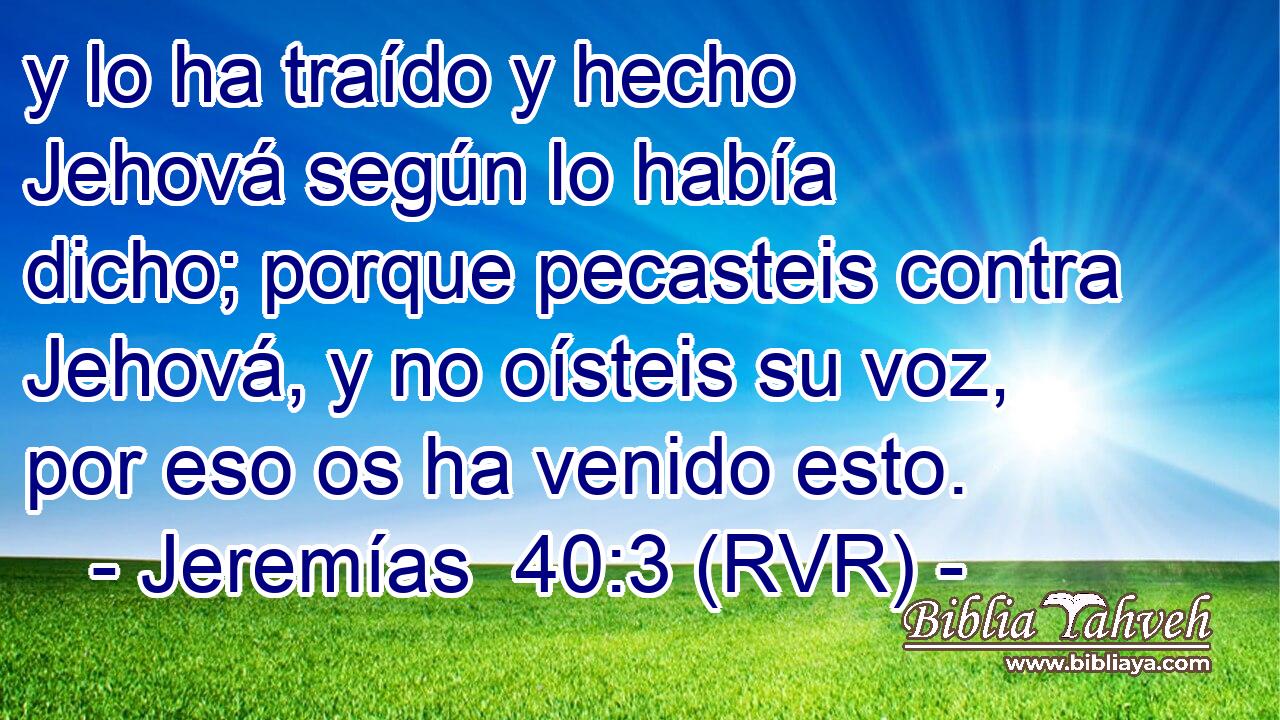 y lo ha traído y hecho Jehová según lo había dicho; porque pecasteis contra Jehová, y no oísteis su voz, por eso os ha venido esto.