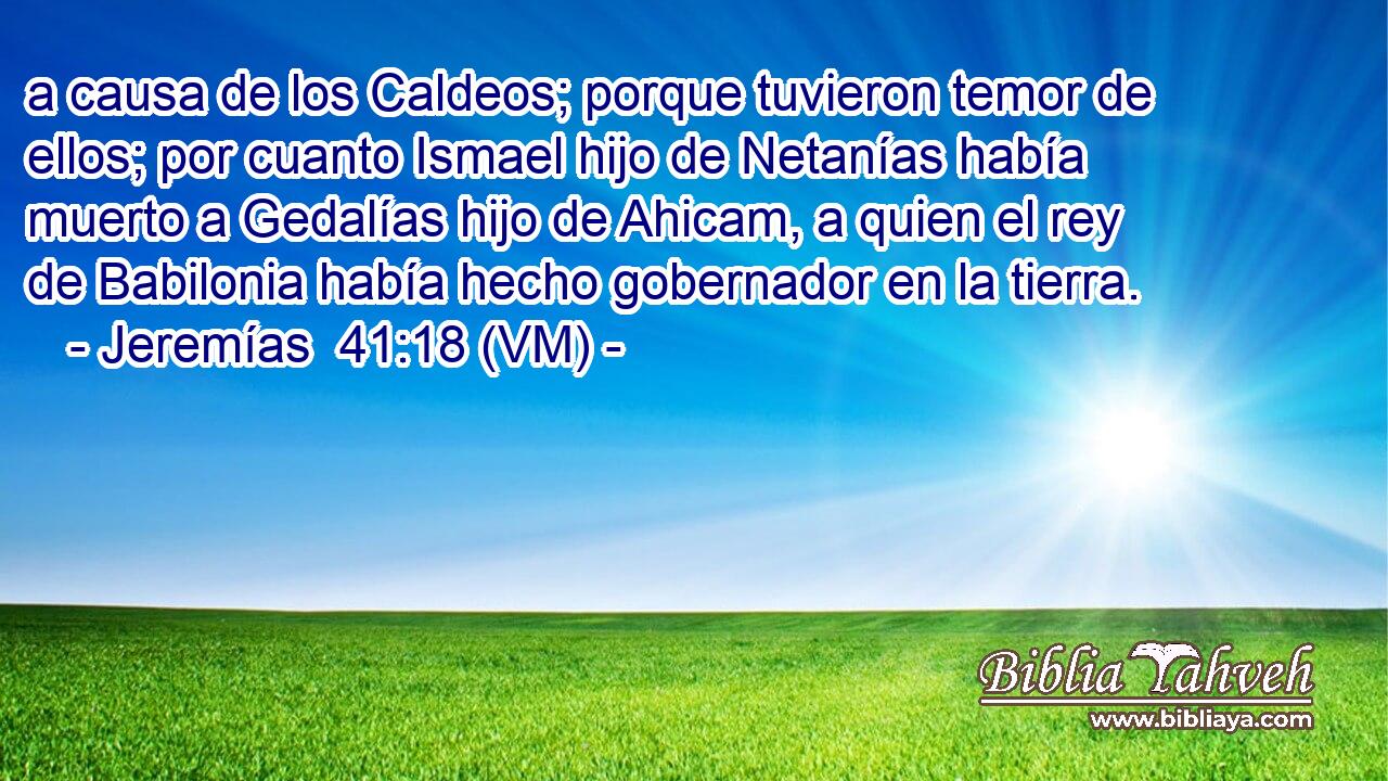  a causa de los Caldeos; porque tuvieron temor de ellos; por cuanto Ismael hijo de Netanías había muerto a Gedalías hijo de Ahicam, a quien el rey de Babilonia había hecho gobernador en la tierra. 
