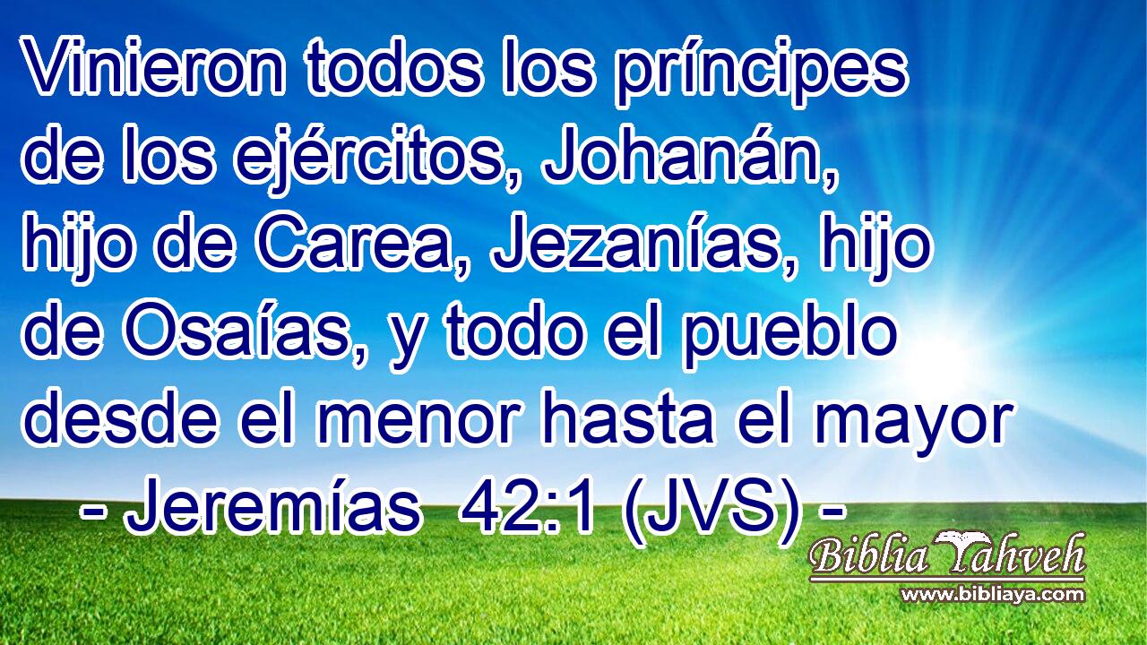 Vinieron todos los príncipes de los ejércitos, Johanán, hijo de Carea, Jezanías, hijo de Osaías, y todo el pueblo desde el menor hasta el mayor