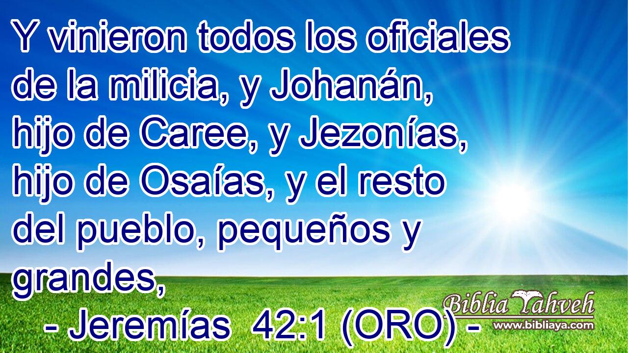  Y vinieron todos los oficiales de la milicia, y Johanán, hijo de Caree, y Jezonías, hijo de Osaías, y el resto del pueblo, pequeños y grandes, 