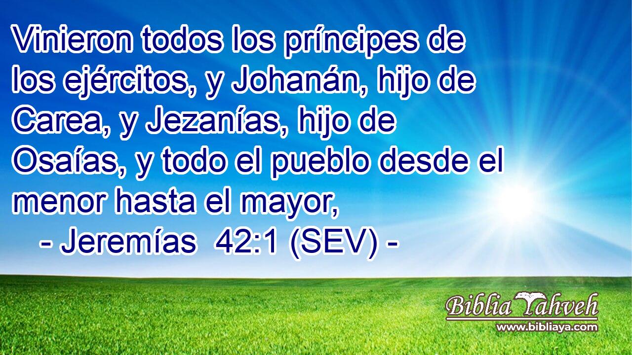 Vinieron todos los príncipes de los ejércitos, y Johanán, hijo de Carea, y Jezanías, hijo de Osaías, y todo el pueblo desde el menor hasta el mayor,