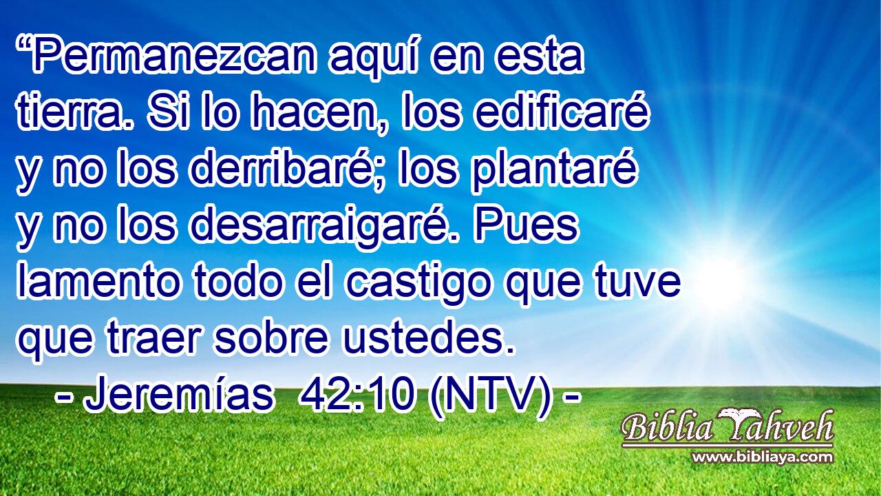 “Permanezcan aquí en esta tierra. Si lo hacen, los edificaré y no los derribaré; los plantaré y no los desarraigaré. Pues lamento todo el castigo que tuve que traer sobre ustedes.