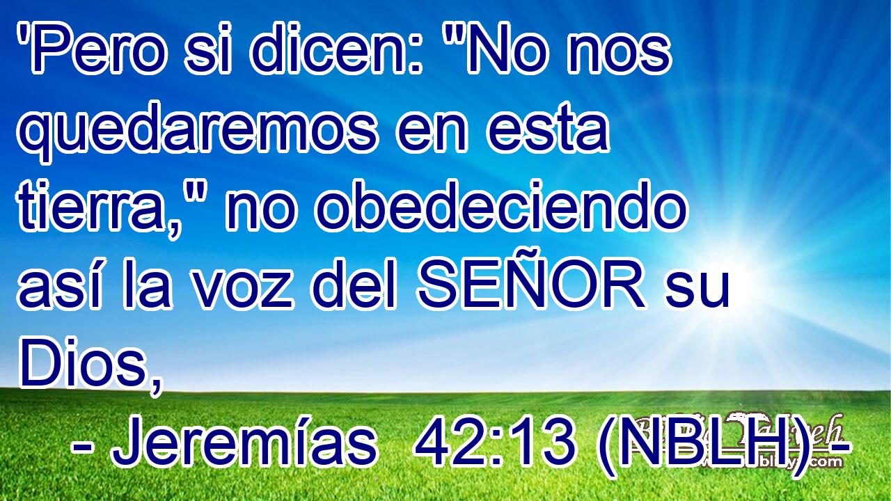  'Pero si dicen: 