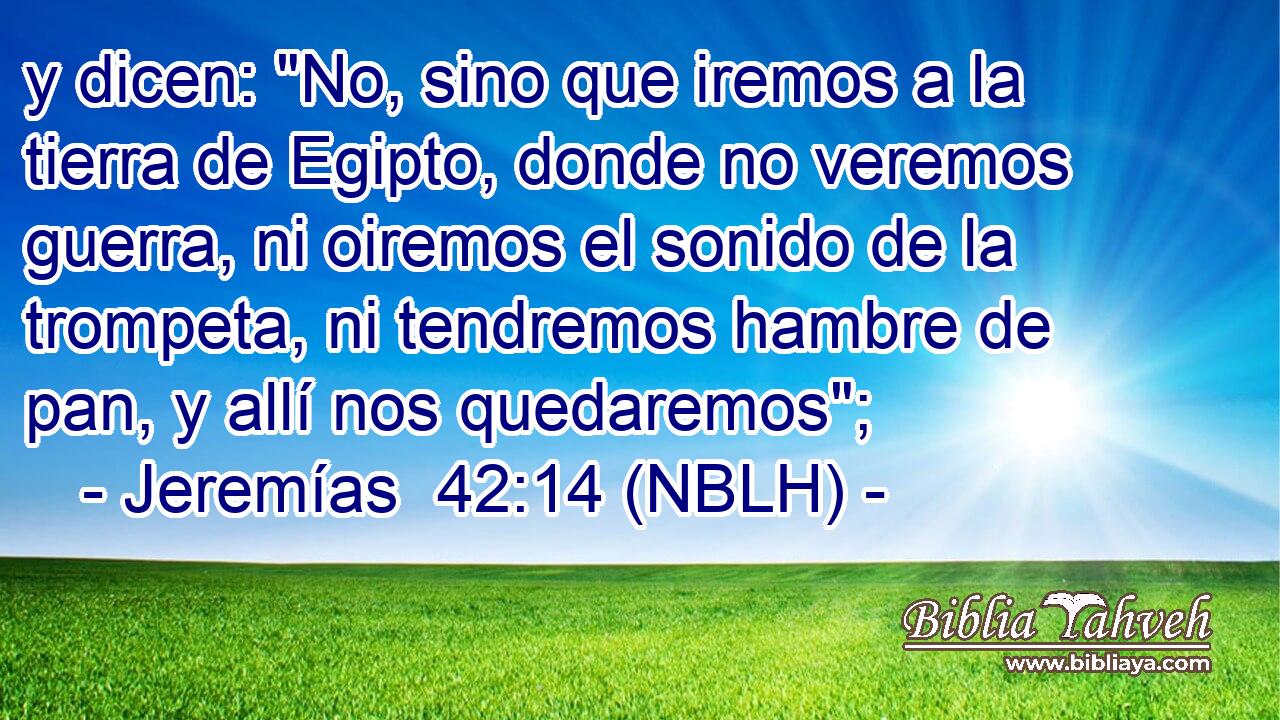  y dicen: 