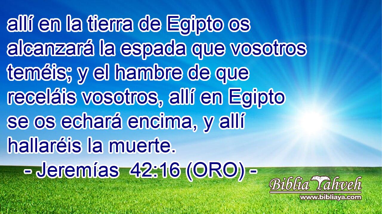  allí en la tierra de Egipto os alcanzará la espada que vosotros teméis; y el hambre de que receláis vosotros, allí en Egipto se os echará encima, y allí hallaréis la muerte. 
