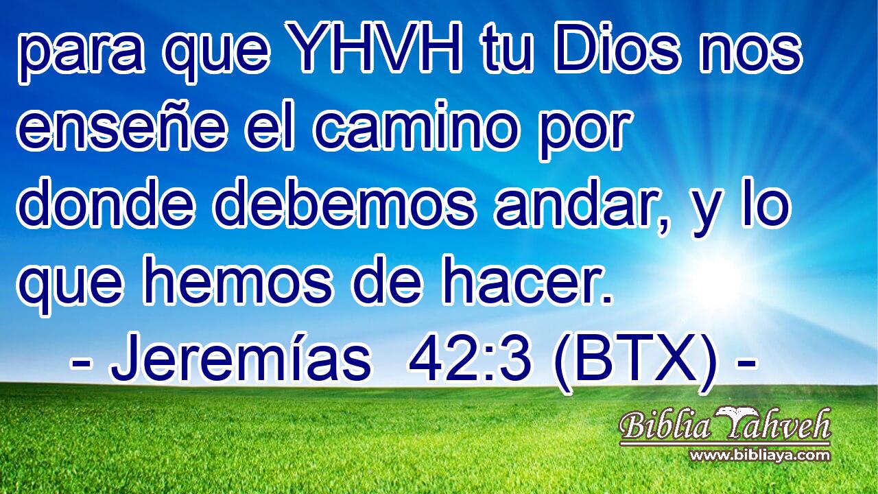 para que YHVH tu Dios nos enseñe el camino por donde debemos andar, y lo que hemos de hacer.
