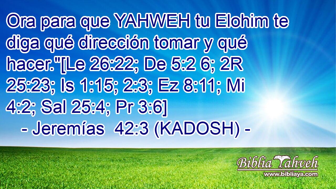  Ora para que YAHWEH tu Elohim te diga qué dirección tomar y qué hacer.