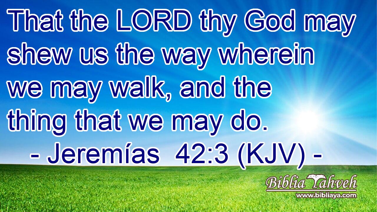 That the LORD thy God may shew us the way wherein we may walk, and the thing that we may do.