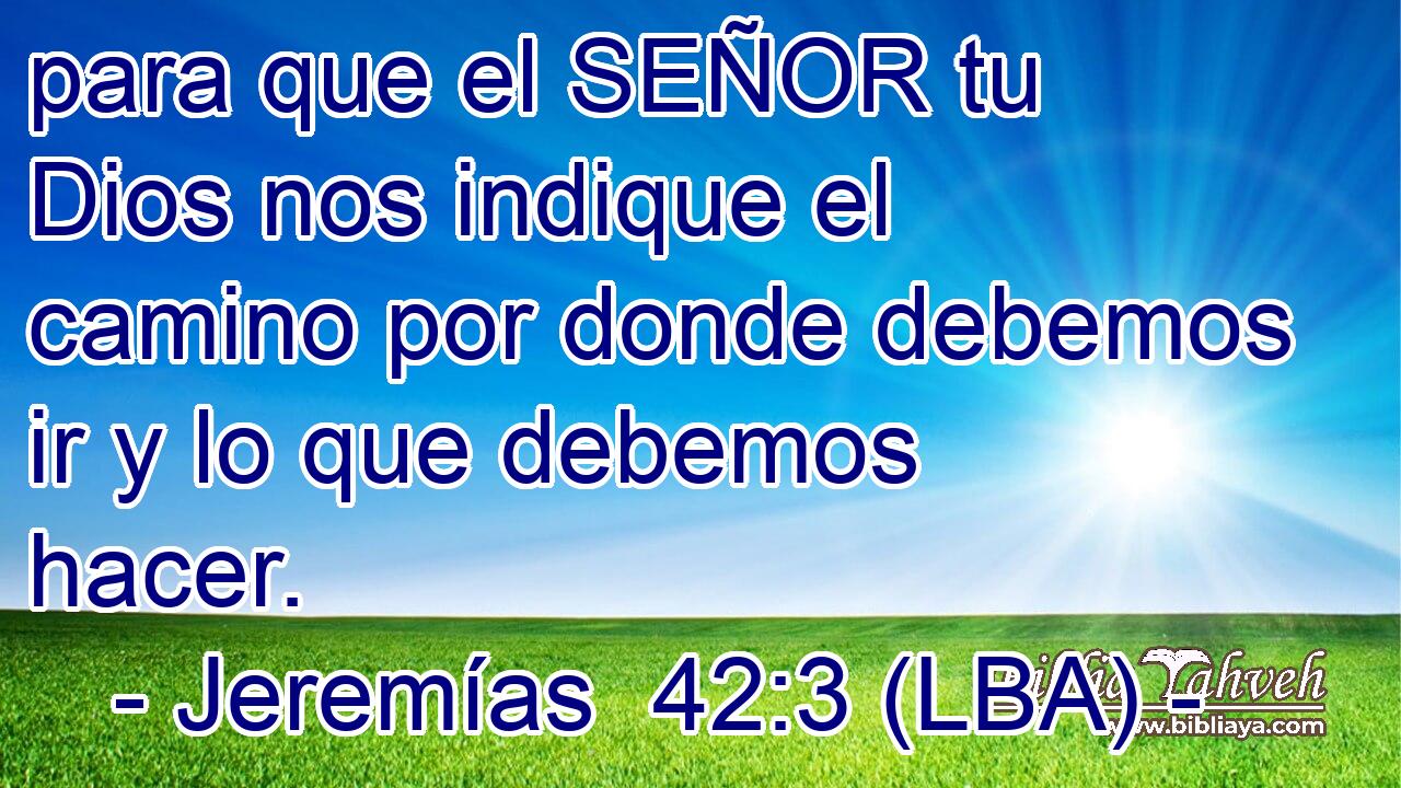 para que el SEÑOR tu Dios nos indique el camino por donde debemos ir y lo que debemos hacer.