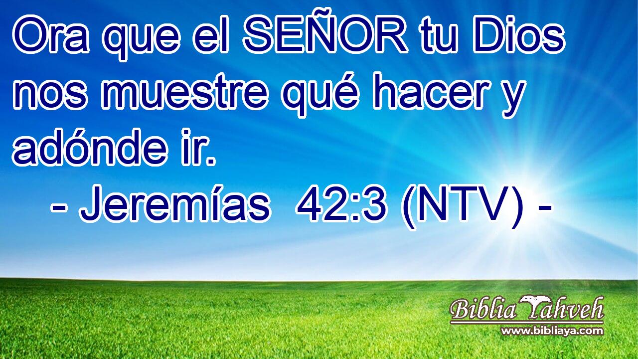 Ora que el SEÑOR tu Dios nos muestre qué hacer y adónde ir.