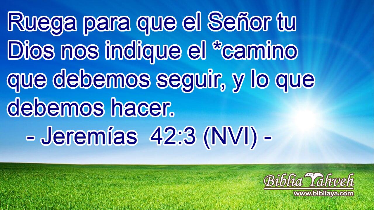  Ruega para que el Señor tu Dios nos indique el *camino que debemos seguir, y lo que debemos hacer. 