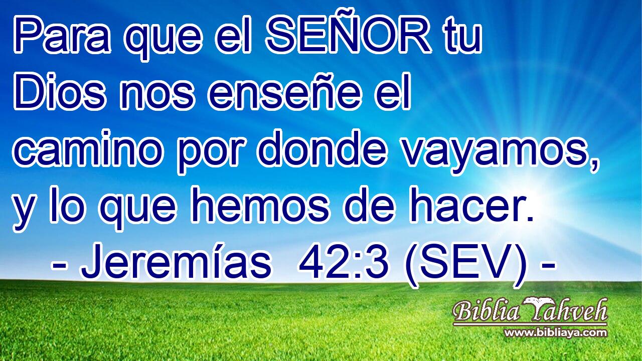Para que el SEÑOR tu Dios nos enseñe el camino por donde vayamos, y lo que hemos de hacer.