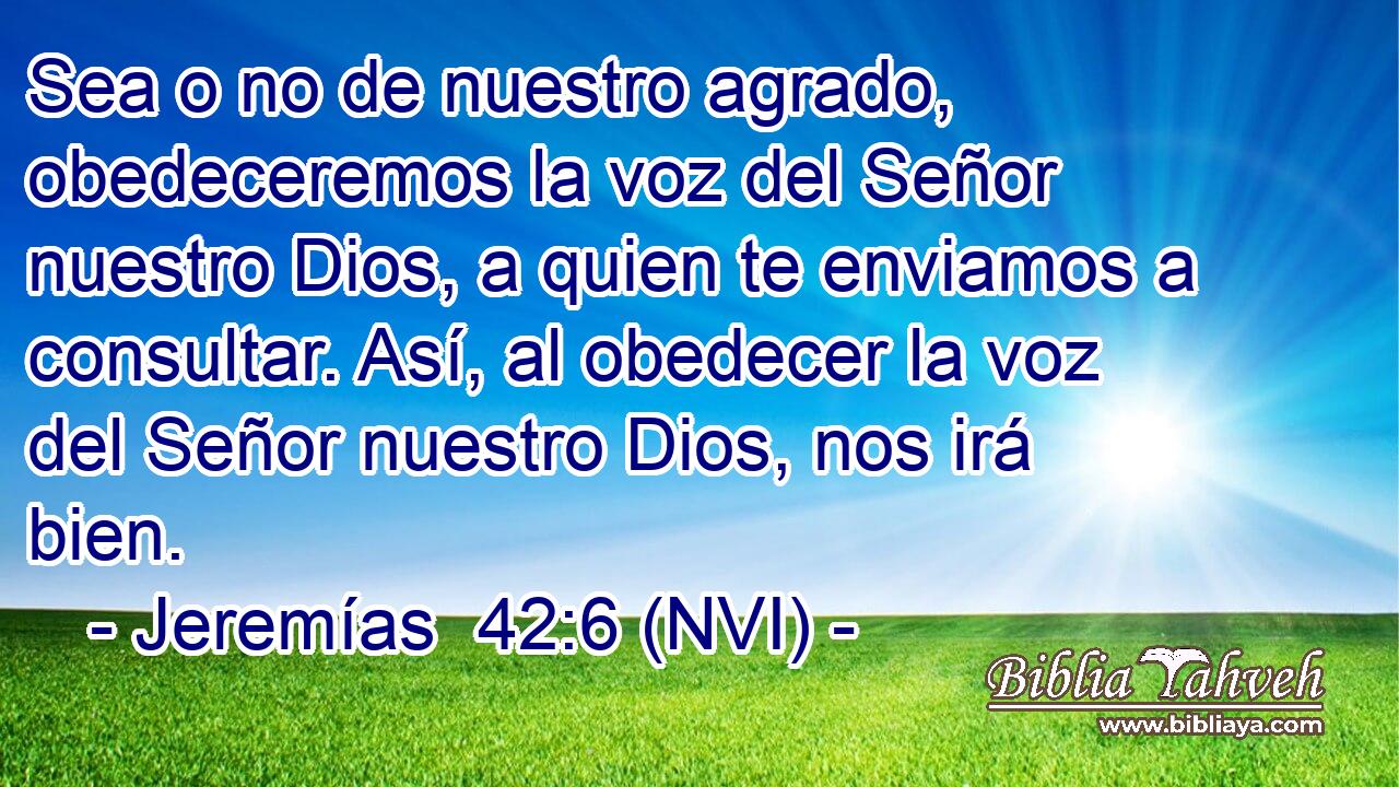  Sea o no de nuestro agrado, obedeceremos la voz del Señor nuestro Dios, a quien te enviamos a consultar. Así, al obedecer la voz del Señor nuestro Dios, nos irá bien. 