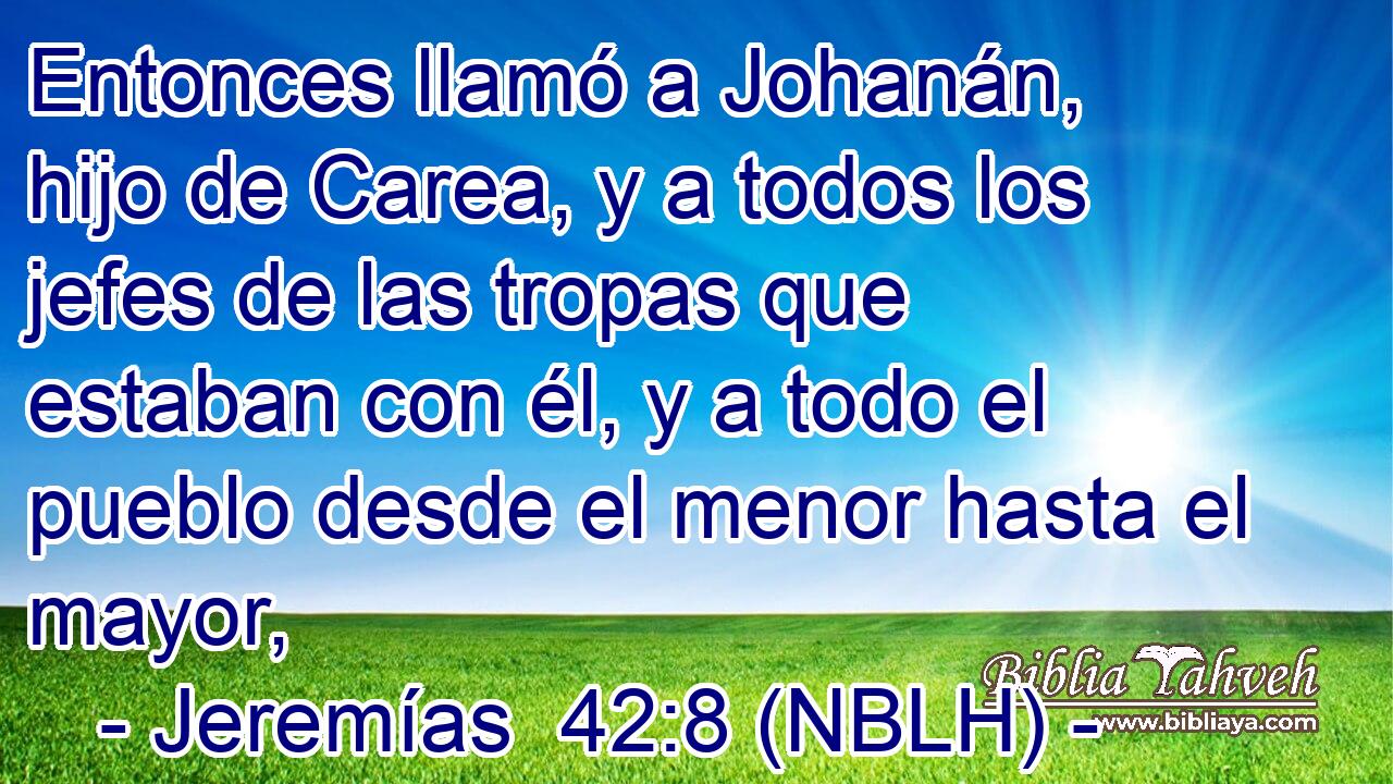  Entonces llamó a Johanán, hijo de Carea, y a todos los jefes de las tropas que estaban con él, y a todo el pueblo desde el menor hasta el mayor, 