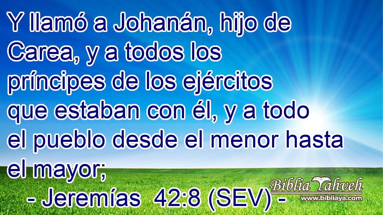 Y llamó a Johanán, hijo de Carea, y a todos los príncipes de los ejércitos que estaban con él, y a todo el pueblo desde el menor hasta el mayor;