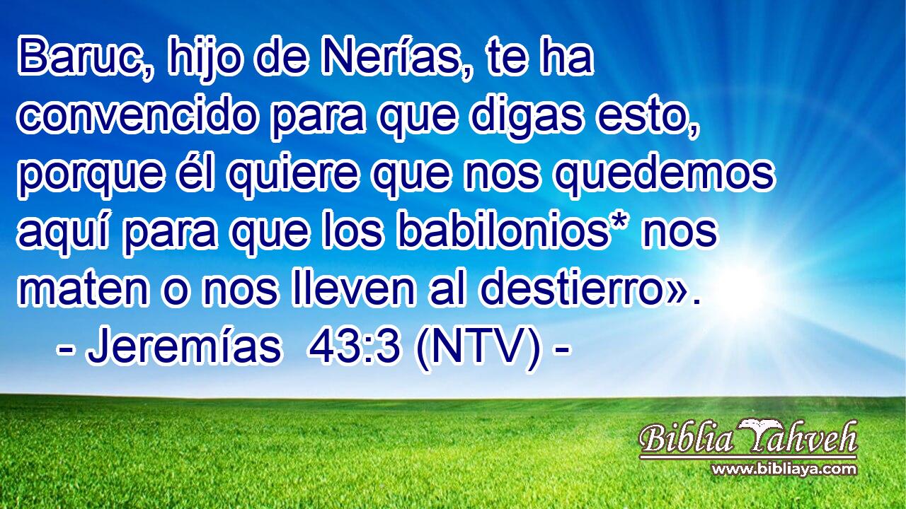 Baruc, hijo de Nerías, te ha convencido para que digas esto, porque él quiere que nos quedemos aquí para que los babilonios* nos maten o nos lleven al destierro».