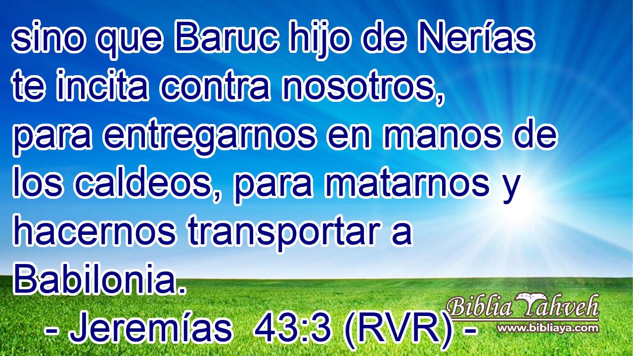sino que Baruc hijo de Nerías te incita contra nosotros, para entregarnos en manos de los caldeos, para matarnos y hacernos transportar a Babilonia.
