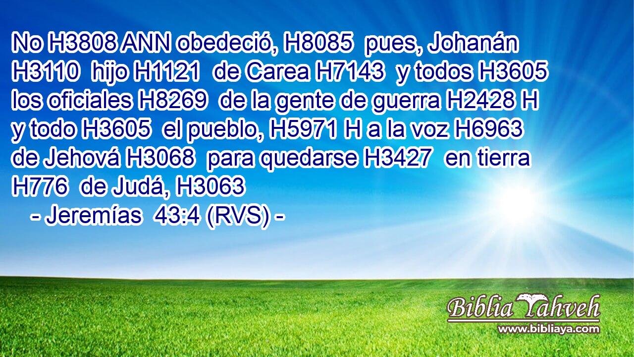 No H3808 ANN obedeció, H8085  pues, Johanán H3110  hijo H1121  de Carea H7143  y todos H3605  los oficiales H8269  de la gente de guerra H2428 H y todo H3605  el pueblo, H5971 H a la voz H6963  de Jehová H3068  para quedarse H3427  en tierra H776  de Judá, H3063  
