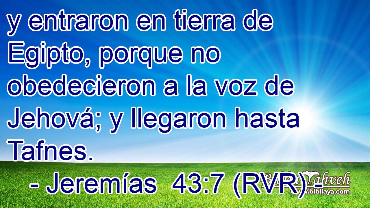 y entraron en tierra de Egipto, porque no obedecieron a la voz de Jehová; y llegaron hasta Tafnes.