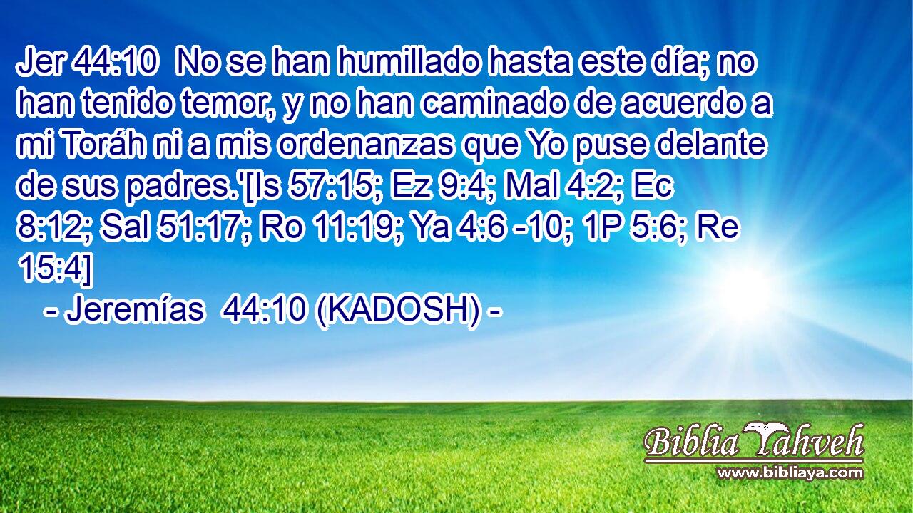  No se han humillado hasta este día; no han tenido temor, y no han caminado de acuerdo a mi Toráh ni a mis ordenanzas que Yo puse delante de sus padres.'[Is 57:15; Ez 9:4; Mal 4:2; Ec 8:12; Sal 51:17; Ro 11:19; Ya 4:6 -10; 1P 5:6; Re 15:4] 