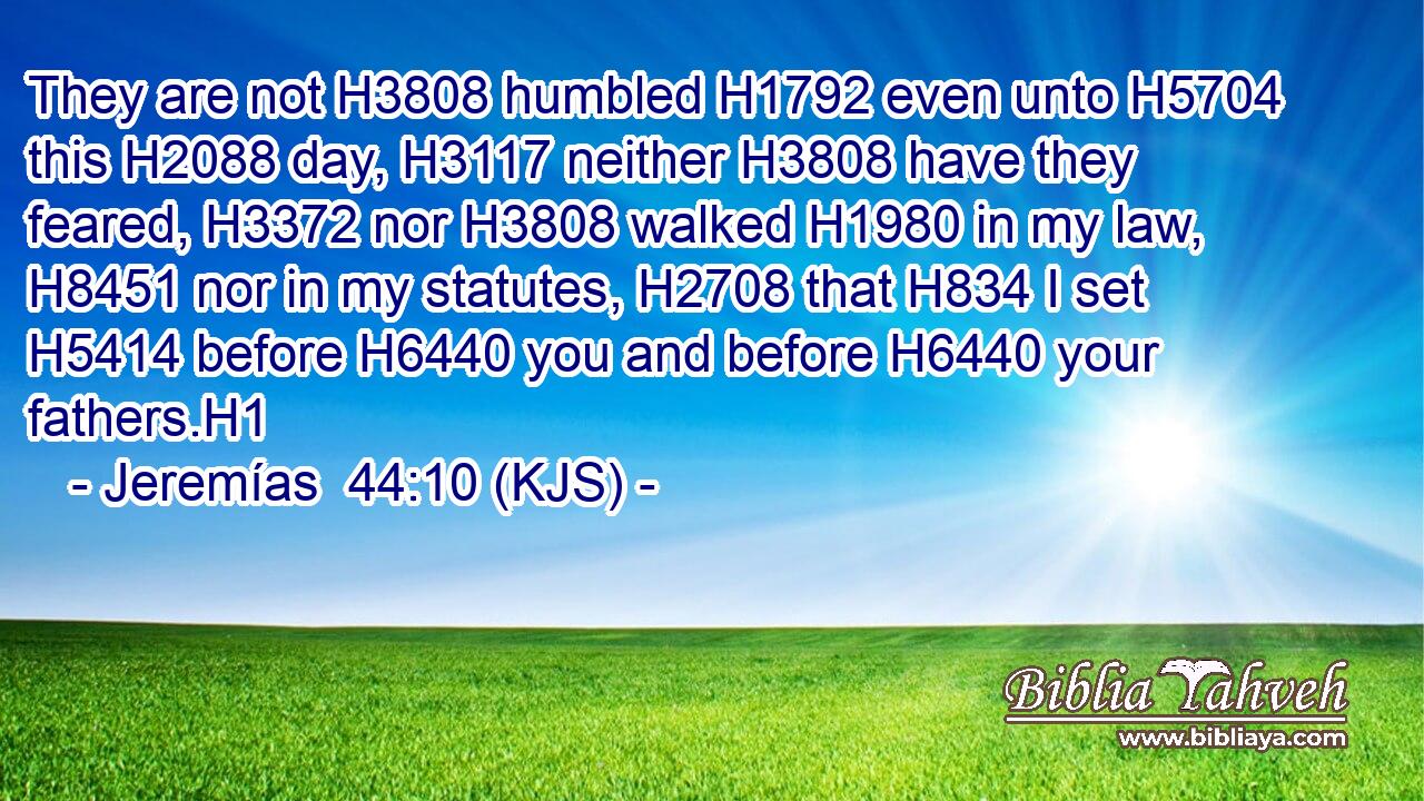 They are not H3808 humbled H1792 even unto H5704 this H2088 day, H3117 neither H3808 have they feared, H3372 nor H3808 walked H1980 in my law, H8451 nor in my statutes, H2708 that H834 I set H5414 before H6440 you and before H6440 your fathers.H1