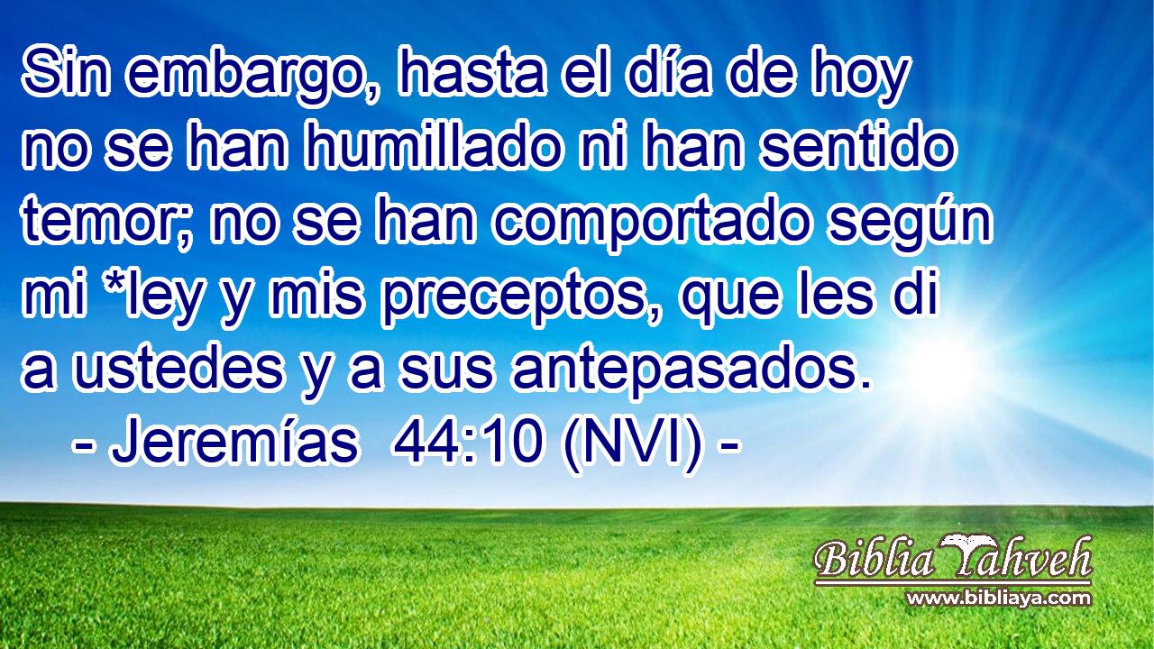  Sin embargo, hasta el día de hoy no se han humillado ni han sentido temor; no se han comportado según mi *ley y mis preceptos, que les di a ustedes y a sus antepasados. 