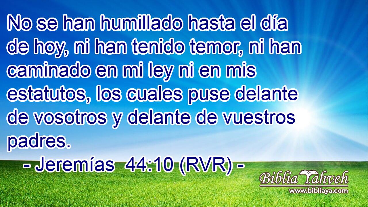 No se han humillado hasta el día de hoy, ni han tenido temor, ni han caminado en mi ley ni en mis estatutos, los cuales puse delante de vosotros y delante de vuestros padres.