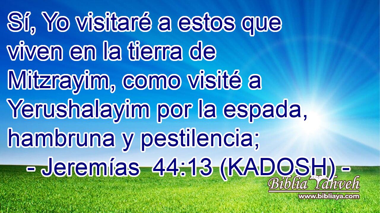  Sí, Yo visitaré a estos que viven en la tierra de Mitzrayim, como visité a Yerushalayim por la espada, hambruna y pestilencia; 