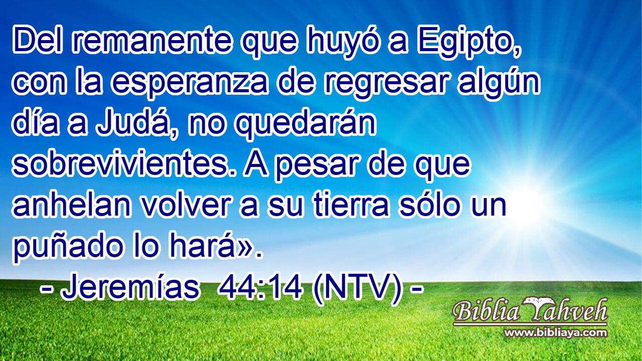 Del remanente que huyó a Egipto, con la esperanza de regresar algún día a Judá, no quedarán sobrevivientes. A pesar de que anhelan volver a su tierra sólo un puñado lo hará».