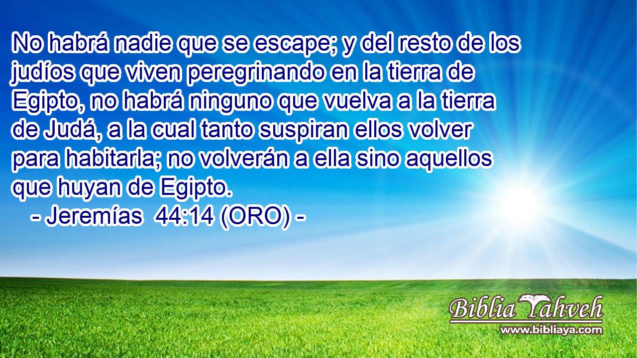  No habrá nadie que se escape; y del resto de los judíos que viven peregrinando en la tierra de Egipto, no habrá ninguno que vuelva a la tierra de Judá, a la cual tanto suspiran ellos volver para habitarla; no volverán a ella sino aquellos que huyan de Egipto. 