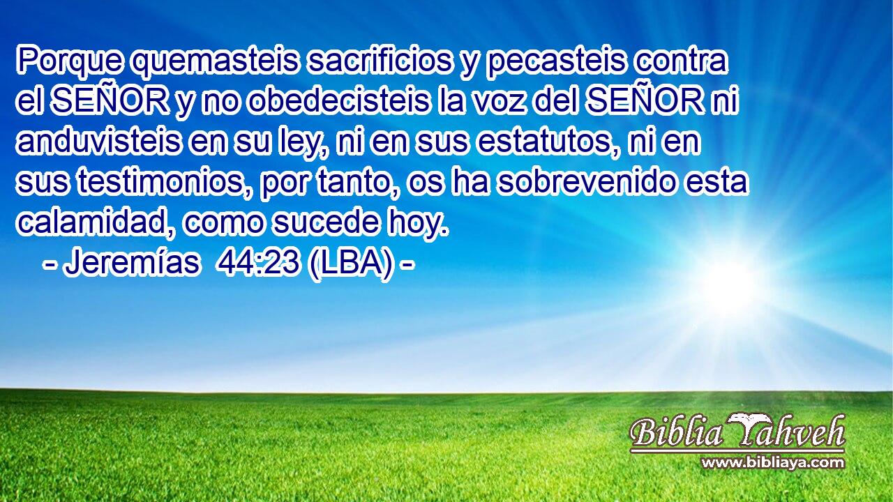 Porque quemasteis sacrificios y pecasteis contra el SEÑOR y no obedecisteis la voz del SEÑOR ni anduvisteis en su ley, ni en sus estatutos, ni en sus testimonios, por tanto, os ha sobrevenido esta calamidad, como sucede hoy.