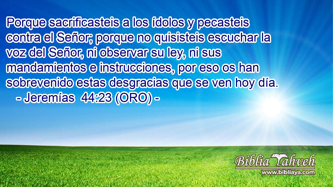  Porque sacrificasteis a los ídolos y pecasteis contra el Señor; porque no quisisteis escuchar la voz del Señor, ni observar su ley, ni sus mandamientos e instrucciones, por eso os han sobrevenido estas desgracias que se ven hoy día. 