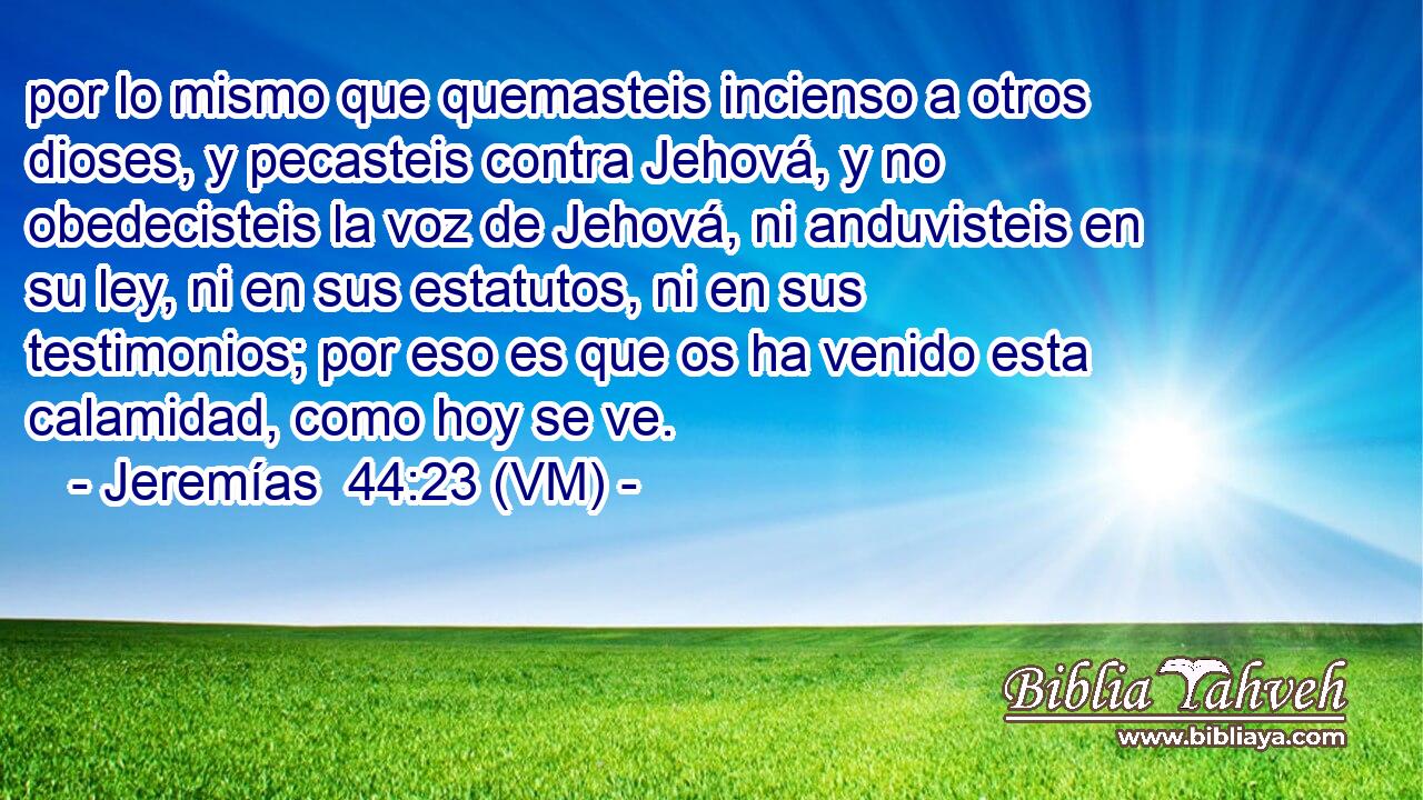  por lo mismo que quemasteis incienso a otros dioses, y pecasteis contra Jehová, y no obedecisteis la voz de Jehová, ni anduvisteis en su ley, ni en sus estatutos, ni en sus testimonios; por eso es que os ha venido esta calamidad, como hoy se ve. 