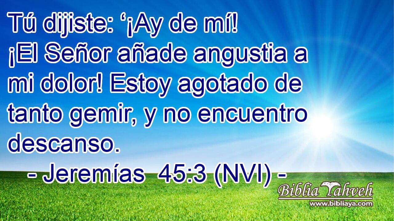  Tú dijiste: ‘¡Ay de mí! ¡El Señor añade angustia a mi dolor! Estoy agotado de tanto gemir, y no encuentro descanso. 