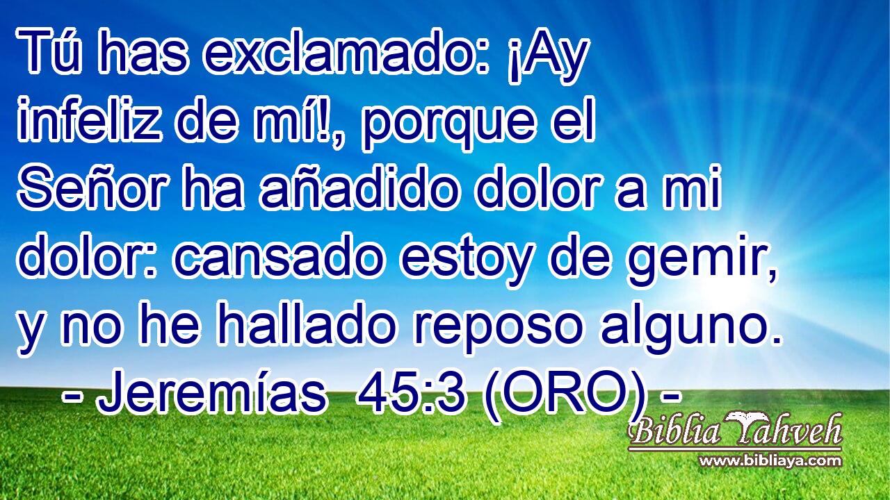  Tú has exclamado: ¡Ay infeliz de mí!, porque el Señor ha añadido dolor a mi dolor: cansado estoy de gemir, y no he hallado reposo alguno. 