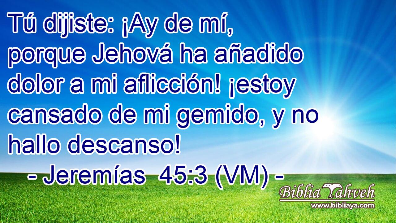  Tú dijiste: ¡Ay de mí, porque Jehová ha añadido dolor a mi aflicción! ¡estoy cansado de mi gemido, y no hallo descanso! 