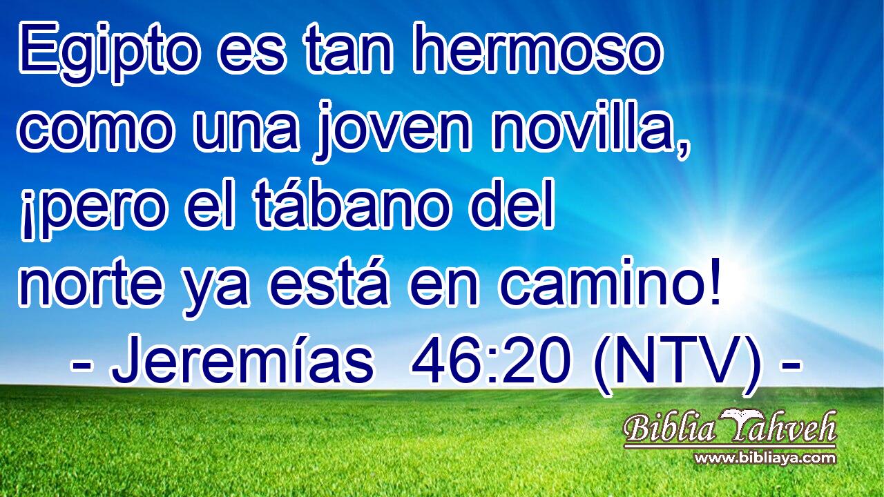 Egipto es tan hermoso como una joven novilla, ¡pero el tábano del norte ya está en camino!
