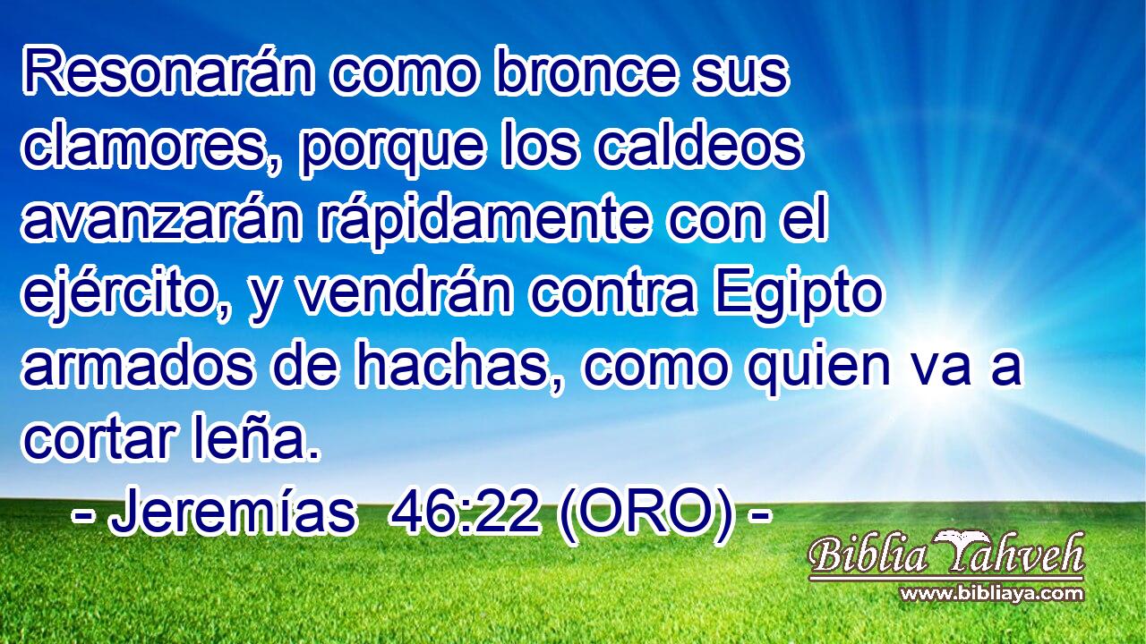 Resonarán como bronce sus clamores, porque los caldeos avanzarán rápidamente con el ejército, y vendrán contra Egipto armados de hachas, como quien va a cortar leña. 